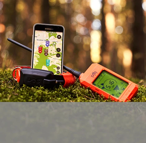 D Control termékek, GPS nyakörvek, láthatatlan kerítések, eledelek áruháza WORKDOG.HU