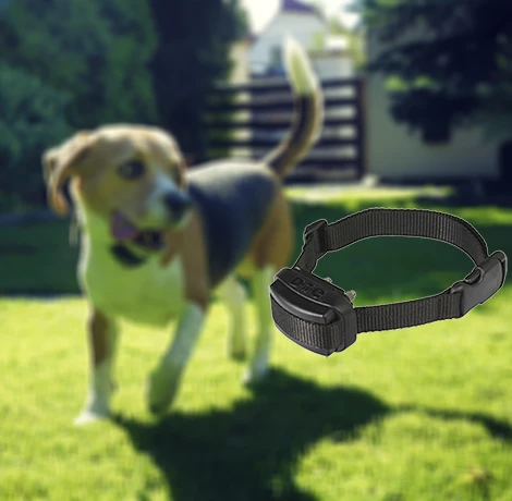 D Control termékek, GPS nyakörvek, láthatatlan kerítések, eledelek áruháza WORKDOG.HU