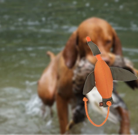 D Control termékek, GPS nyakörvek, láthatatlan kerítések, eledelek áruháza WORKDOG.HU