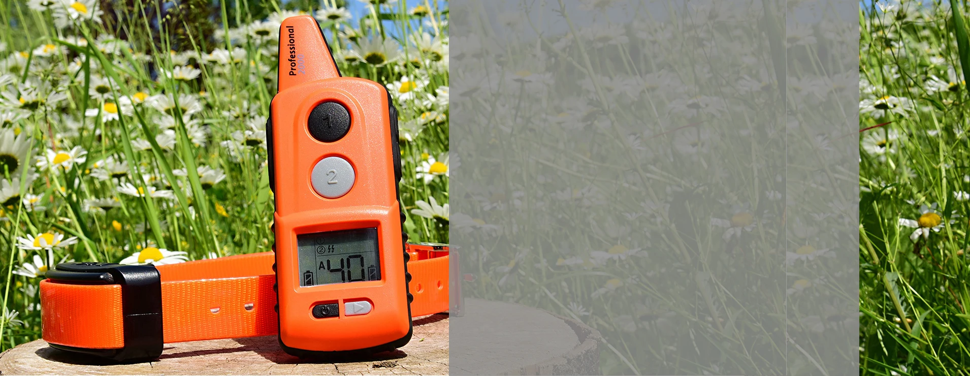 D Control termékek, GPS nyakörvek, láthatatlan kerítések, eledelek áruháza WORKDOG.HU