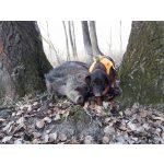 GPS kutya mellény - Dogtrace - XS