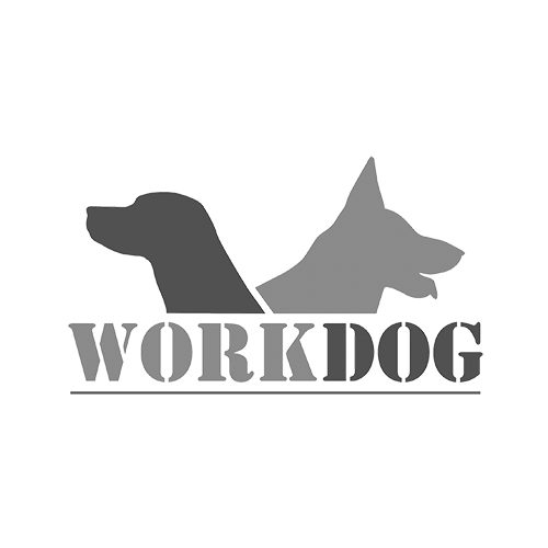 D Control 402 elektromos kutyakiképző nyakörv szett (250m) - Dogtrace - biothane nyakszíjjal