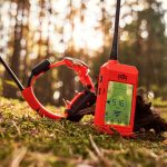 DOG GPS X25T nyakörv szett kiképző funkcióval - Dogtrace