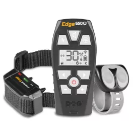   D Control Edge 650 RV elekromos kiképző nyakörv - Dogtrace