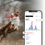 DOG GPS Mini nyomkövető nyakörv - Dogtrace