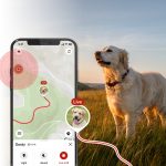 DOG GPS Mini nyomkövető nyakörv - Dogtrace