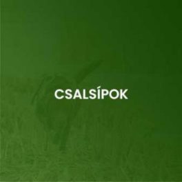 Csalsípok