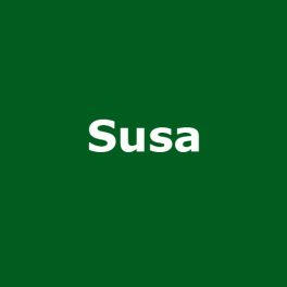 Susa